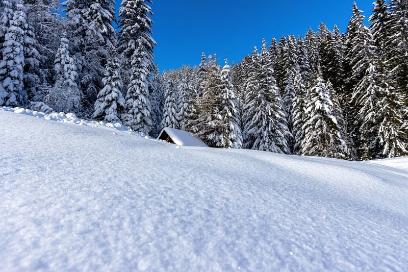 Healthy Retreats