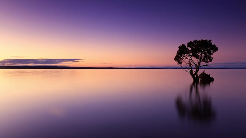 Sunset View